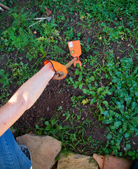 Jardinagem e plantio de horta caseira. Para comida sem agrotóxicos 