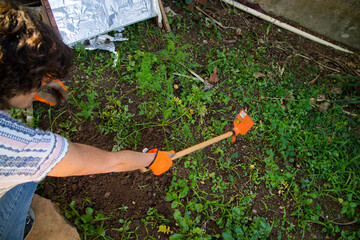 Jardinagem e plantio de horta caseira. Para comida sem agrotóxicos 