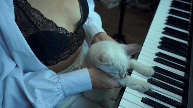 Leisure activities in your free time. Self-isolation entertainment creativity. A white cat plays piano with its paws while sitting on a woman's arms. Comic behavior.