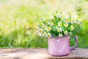Daisies in pink cup with heart in garden