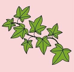 Simplicity ivy freehand drawing flat design.