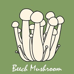 Doodle freehand sketch drawing of beech mushroom vegetable.
