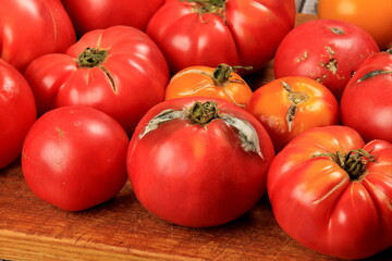 blanched red tomatoes on a plate, ready for peeling.
Tomato processing for preserves 