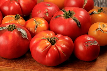 blanched red tomatoes on a plate, ready for peeling.
Tomato processing for preserves 