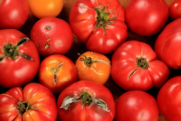 blanched red tomatoes on a plate, ready for peeling.
Tomato processing for preserves 
