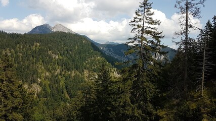 Hiking around the Plansee Lake in Austria Tirol