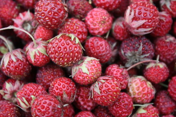 close up of berries