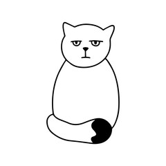 Cute cartoon sad sitting cat character Funny baby kitten. Love Greeting card. White background Isolated. Childish hand drawn vector illustration for nursery prints design t shirt postcard Doodle style