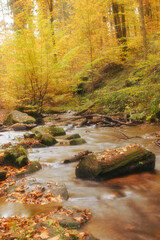 Stream with rocks, logs, and fallen leaves at Karlstal Gorge in Germany on a fall day.
