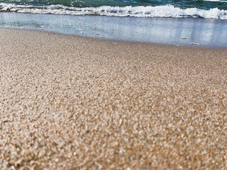 Sea sand texture, sandy beach background, macro