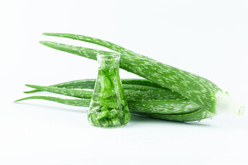 Aloe vera essential oil on tropical leaves background