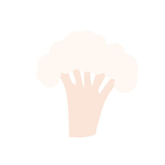 cauliflower doodle style vector element. handdraw illustration