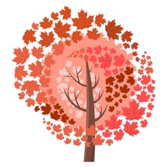 Red maple tree. Stylized tree in a flat style. Autumn Japanese maple. Isolated vector on a white background.