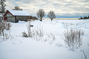 An scenic landscape of cloud covered sky and snow covered lake in northern Europe with branches of dead tree