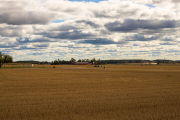 Obraz premium Beautiful nature landscape view of field after harvesting under cloudy summer sky. Sweden. 