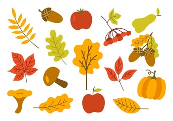 Autumn abstract icons set. Vector elements leaves isolated on white background. Hand-drawn plants with vegetables and fruits.