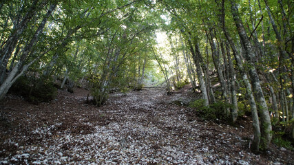 Sentiero sul Monte Catria nelle Marche