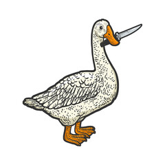 goose with knife in beak line art color sketch engraving vector illustration. T-shirt apparel print design. Scratch board imitation. Black and white hand drawn image.