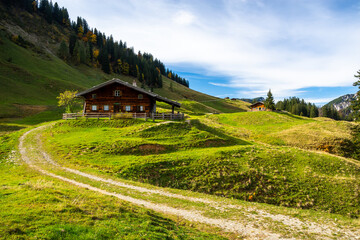 beautiful alpine meadow with wooden hut during fall in Hintertal in Austria