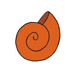 Sea shell. Clam. Conch. Vector. Doodle. Hand-drawn illustration.