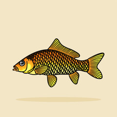 Vector fish illustration. Colorful cartoon  fish, vector illustration