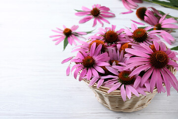 Beautiful echinacea flowers in wicker basket on white wooden table, space for text