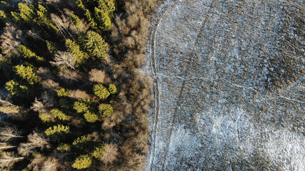 Aerial shot of winter forest