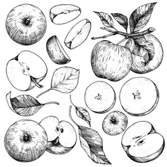 Fotobehang A set of hand-drawn sketches with apples and leaves. Vector illustrations with whole and cut fruits. Vintage style engraving. Collection of isolated objects on a white background © Evgenii Dolzhenkov
