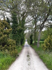 Sendero del Pazo de Penas Corveiras en Vilalba, Galicia
