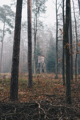 hunting pulpit inside of a forest
