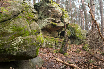 rocks near adamow nature reserve