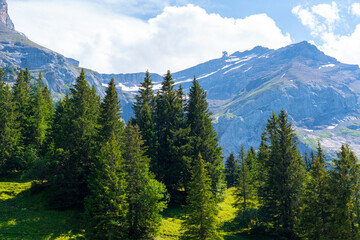 Out and about in the mountains, snowy cliffs, green meadows and forests, concept of hiking, travel and vacation 