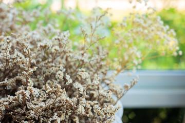 Selective focus and blurred background with copy space of small gypsophila flower decoration with green garden under sunlight in background shows beautifulness of colorful flora in vintage style.