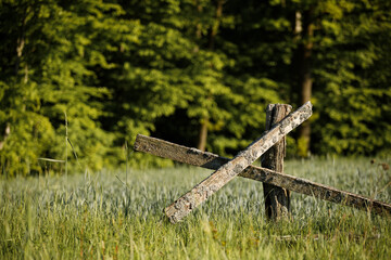 Fototapeta old wooden windmill obraz