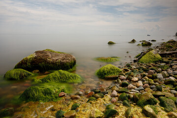 rocks in the water