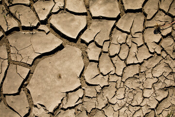dry earth