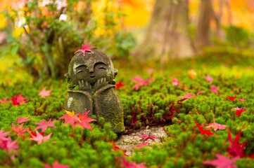 Red Maple leaf on head of Jizo sculpture doll (little Japanese Buddhist monk doll rock) in Japanese Garden in Autumn