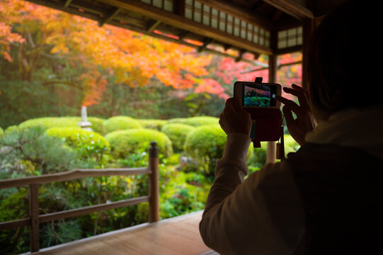 Female tourist taking a photo of Japanese garden in Autumn in Kyoto, Japan