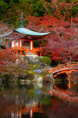Beautiful view of Daigo-ji temple with red maple trees in autumn season in Kyoto, Japan