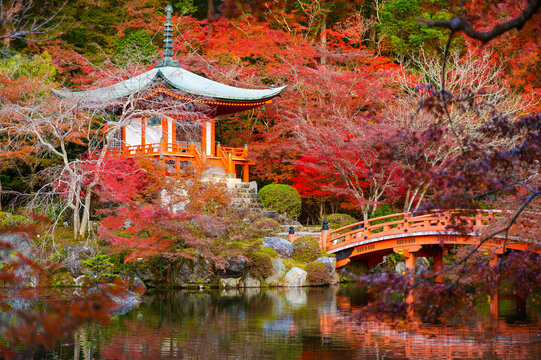 Beautiful view of Daigo-ji temple with red maple trees in autumn season in Kyoto, Japan