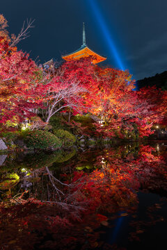 Kiyomizu pagoda with illuminated colorful autumn leaf with Kiyomizu temple in Kyoto, Japan