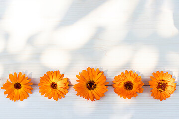 Top view of calendula flowers on a light wooden background.
