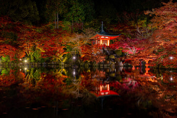 Night view of Colorful autumn theme, illuminated light of Daigo-ji temple in Kyoto, Japan