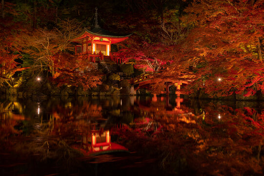 Night view of Colorful autumn theme, illuminated light of Daigo-ji temple in Kyoto, Japan