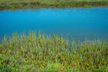 View of the marsh at Upper Newport Bay