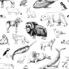 Monochrome Seamless pattern with Arctic animals © Marina Gorskaya