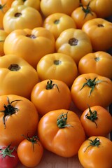 colorful tomatoes, yellow and red tomatoes, summer vegetables, tomatoes arranged in colors, tomatoes on a large plate