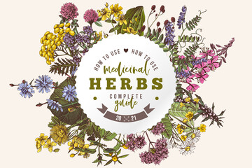 Hand drawn label of medicinal herbs - obrazy, fototapety, plakaty