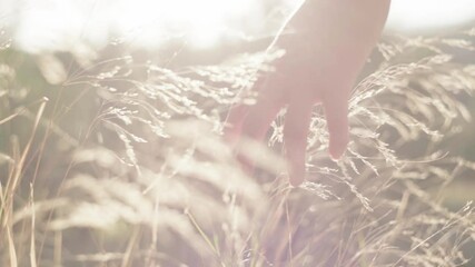 Crop tender woman touching grass in field