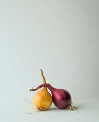love of vegetables, red and white onions in an embrace, space for text


